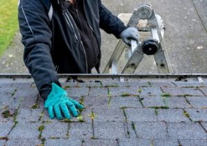 Roofinginspection