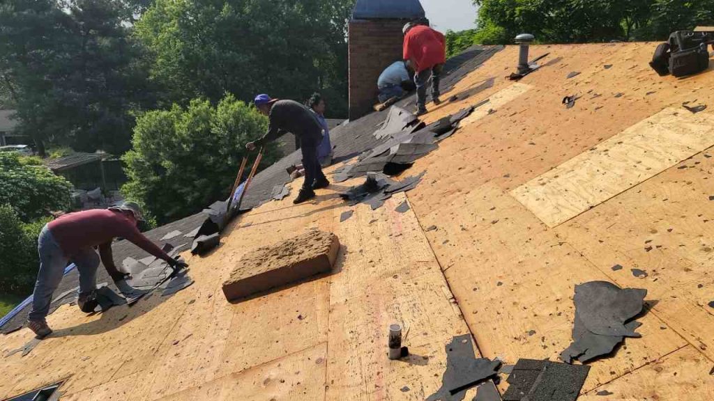 Rooftearoff.jpg